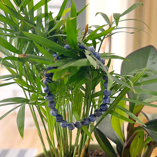 A handmade Sodalite crystal bead bracelet with 6mm blue and white marbled beads, strung on a stretchy cord, draped over lush green leaves in a natural, serene setting. | Simply Esoteric