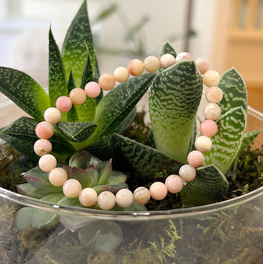 A Pink Opal bead bracelet featuring soft pink hues, delicately strung on a stretchy cord, displayed against a background of green succulent plants. The bracelet consists of smooth, round beads, showcasing subtle variations in color, symbolizing its natural origin. | Simply Esoteric