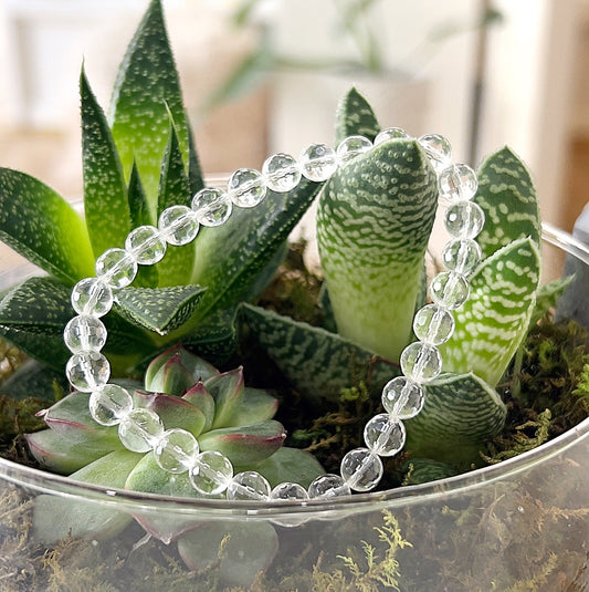 A close-up image of a clear quartz faceted bead bracelet resting on a bed of green succulents. The bracelet features transparent, sparkling faceted beads strung on a stretchy cord, showcasing the natural beauty and brilliance of clear quartz. | Simply Esoteric