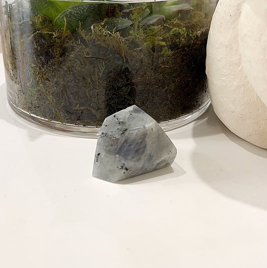 A Labradorite Geolith approximately 2.5cm by 3.5cm with striking rainbow flashes, positioned in front of a green plant. | Simply Esoteric