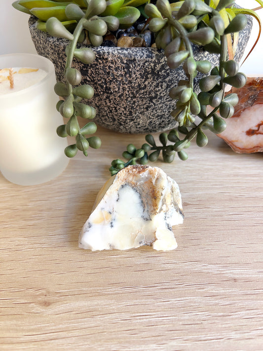 A 5.5cm rough piece of Western Australian dendritic opal weighing 48.6g, featuring creamy white tones with beige and dark fern-like inclusions. Displayed on a wooden surface with a candle, succulent plant, and polished agate slice in the background, creating a natural and grounding setting. | Simply Esoteric