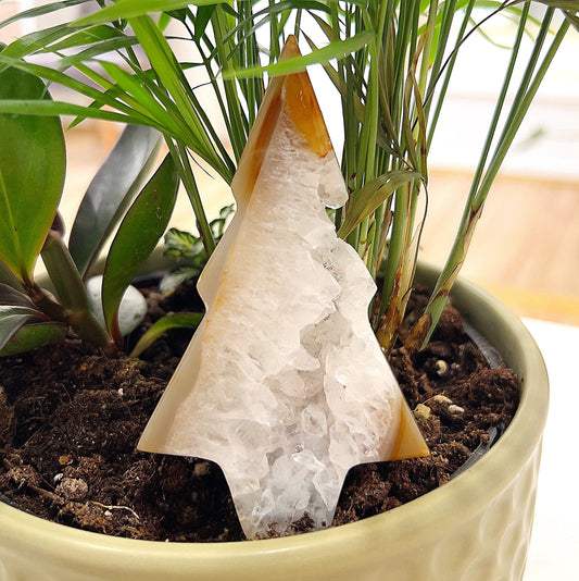 A close-up image of an agate druzy tree carving placed in a planter among vibrant green plants. The tree-shaped carving features natural brown and white hues with a sparkling druzy quartz center, showcasing its intricate details and shimmering texture. The carving's unique design and earthy tones create a serene and grounding aesthetic. | Simply Esoteric