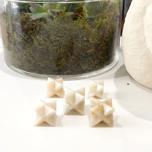 Cream moonstone Merkaba stars displayed on a white surface in front of a glass bowl filled with green succulents and moss. Each star, approximately 2-2.5 cm in size, is intricately carved and showcases the unique creamy hue and soft texture of moonstone. The background features a calm and natural setting, emphasizing the tranquil and nurturing energy of the stones. | Simply Esoteric