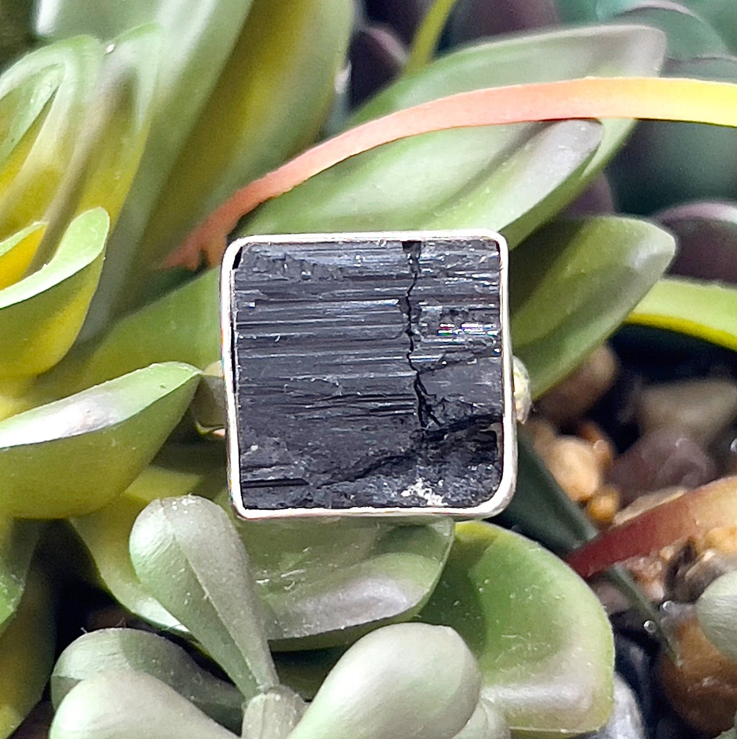 A sterling silver ring featuring a raw black tourmaline stone with a square-cut design, set against a backdrop of lush green succulents and earthy tones. The natural texture of the tourmaline contrasts beautifully with the polished silver band, creating an elegant yet grounding aesthetic. Perfectly suited for showcasing the ring's raw and protective qualities. | Simply Esoteric