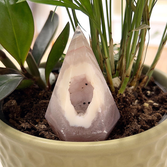 A polished agate druzy point approximately 8cm tall, featuring soft pink and cream banding that transitions into a sparkling druzy quartz core. The crystal is placed in a plant pot surrounded by green foliage, showcasing its natural beauty and intricate details. | Simply Esoteric