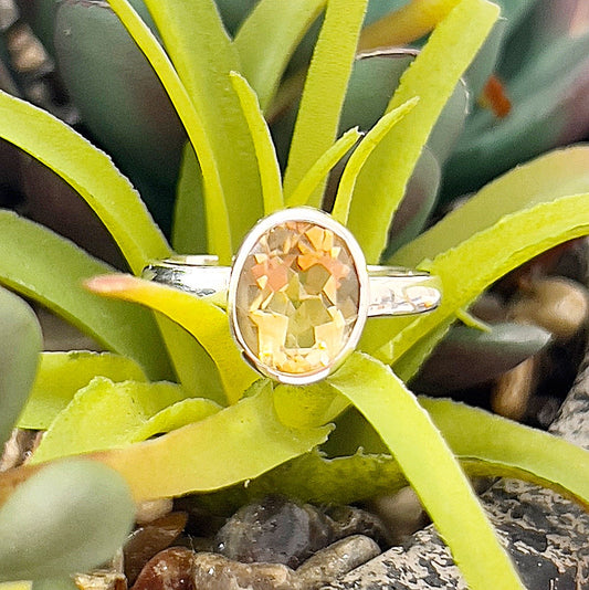 A close-up image of a sterling silver ring featuring an oval-cut citrine gemstone in a bezel setting. The vibrant golden-yellow stone shines brightly against the polished silver band, with the ring resting on a backdrop of green succulents and natural stones, creating a warm and earthy aesthetic. | Simply Esoteric