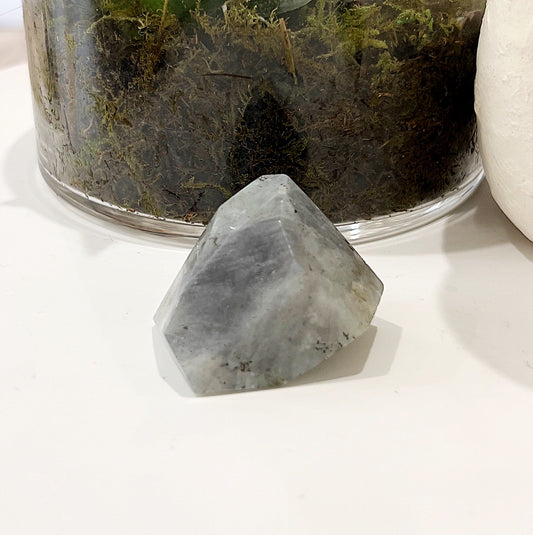4.5cm x 4cm Labradorite Geolith with rainbow flashes, displaying vibrant hues of blue, green, and gold, set against a background with a glass pot containing a succulent plant. | Simply Esoteric