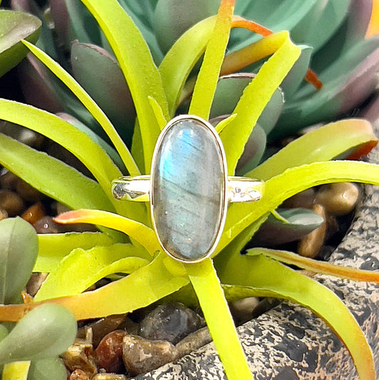 A close-up image of a labradorite sterling silver ring resting on a vibrant green succulent plant. The ring features an oval-shaped labradorite gemstone with a mesmerizing play of blue and green hues, bezel set in polished sterling silver. The intricate details of the plant and the gemstone's iridescence create a visually captivating composition. Perfect for showcasing the ring's elegance and natural beauty. | Simply Esoteric