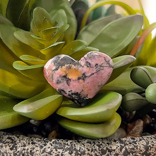 A small rhodonite heart crystal, approximately 2cm in size, displayed among lush green succulent leaves. The stone has a unique marbled pattern with shades of pink, black, and a touch of yellow, symbolizing compassion and emotional healing. | Simply Esoteric